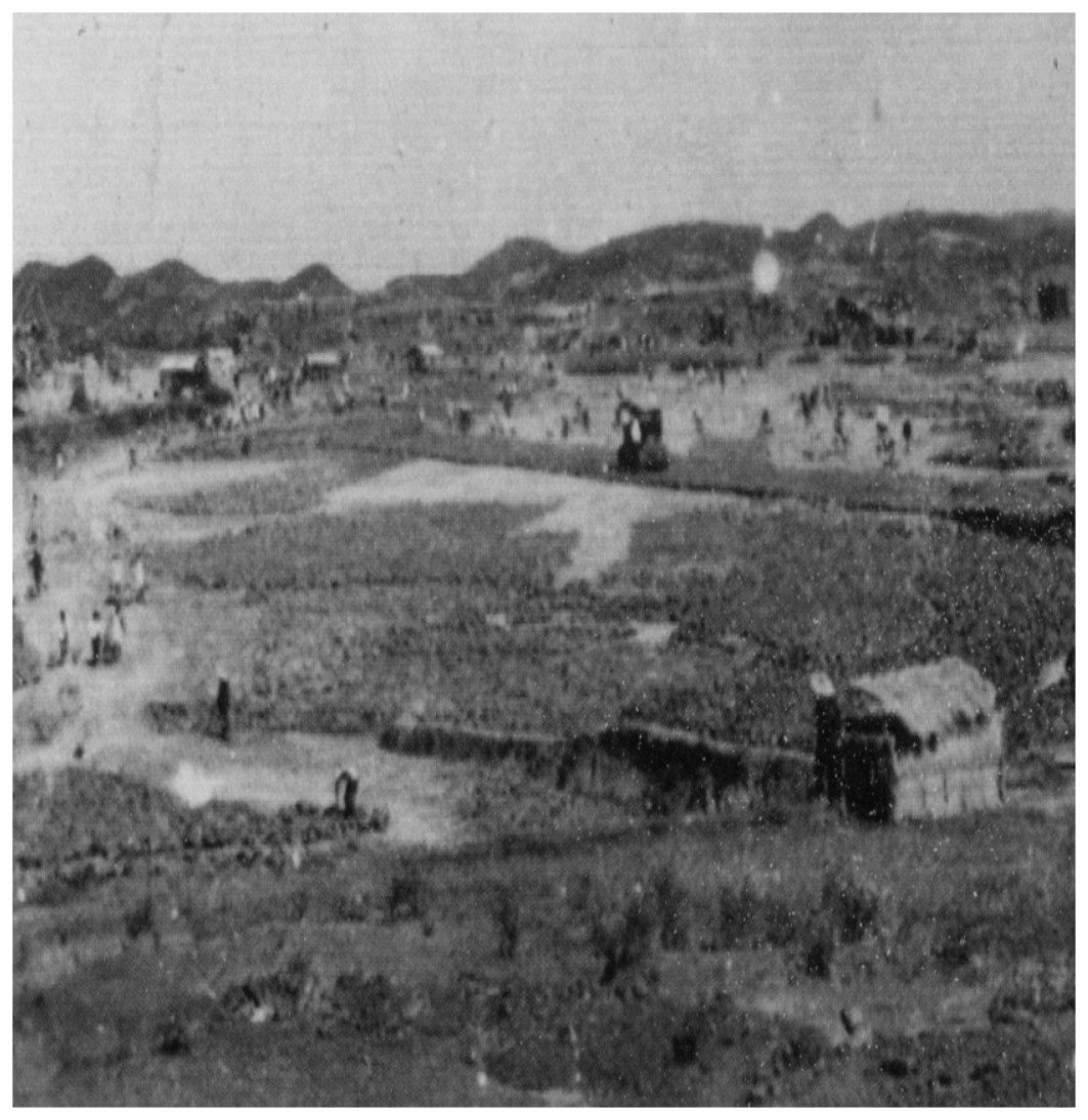 50年代用肩挑手推的株冶建设施工现场.jpg